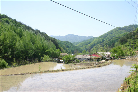 깊은 산골 오원2리 '통골' 마을 